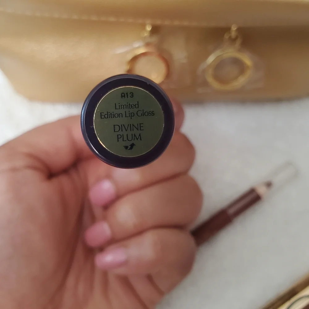 New Estee Lauder Celestial Glam Full size Lips, Eyes & Cosmetic Case